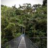 Puentes Colgantes - Hängebrücken in Costa Rica